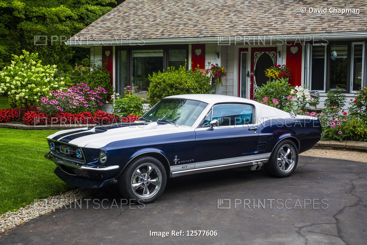 Sports car parked outside a house with blossoming flowers; Hudson, Quebec, ...