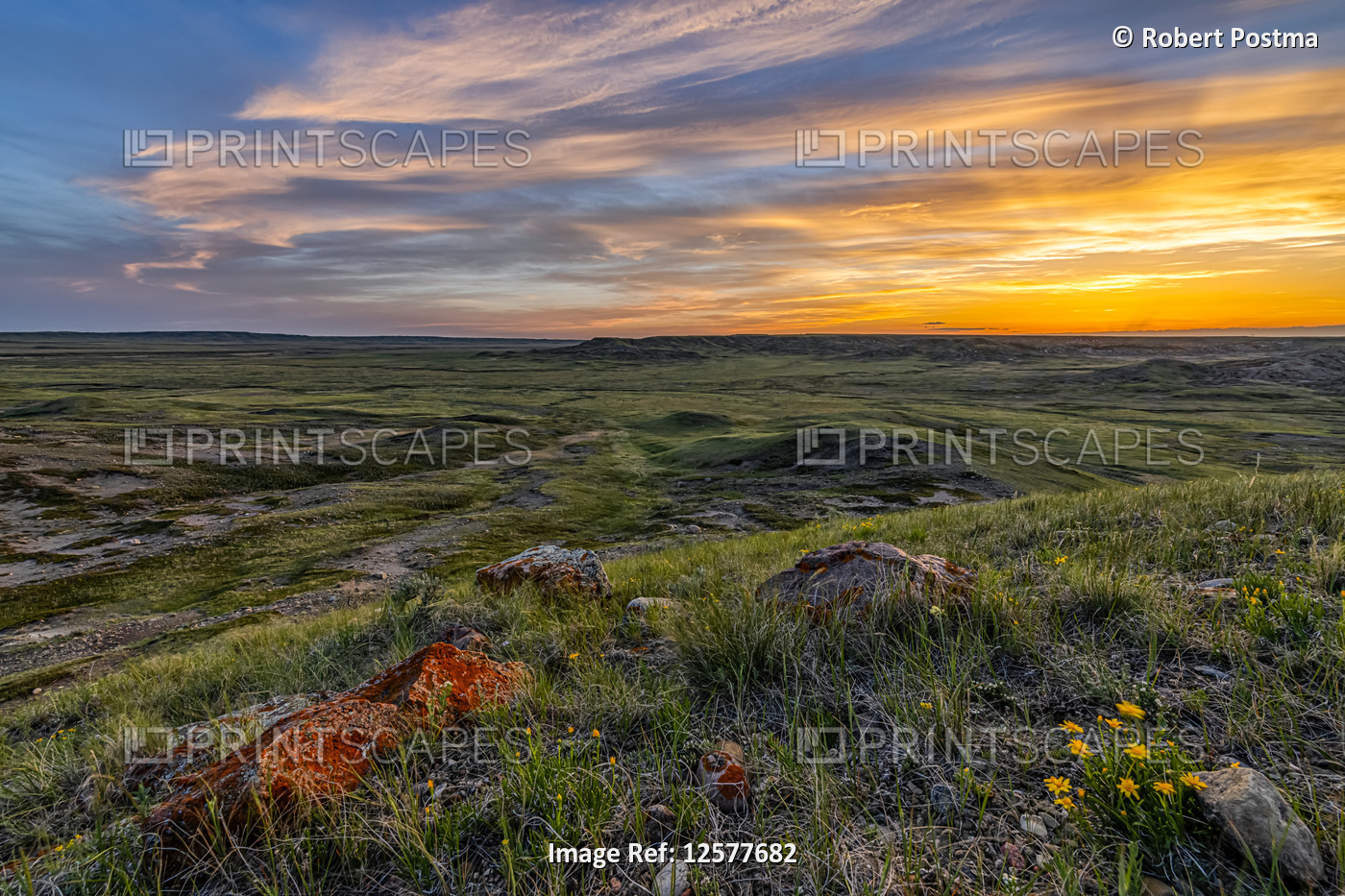Vast landscape stretching to the horizon at sunset in Grasslands National Park; ...