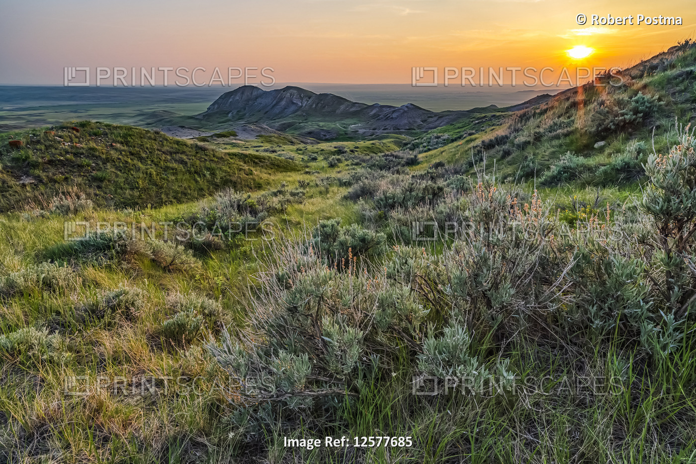 Vast landscape stretching to the horizon at sunset in Grasslands National Park; ...