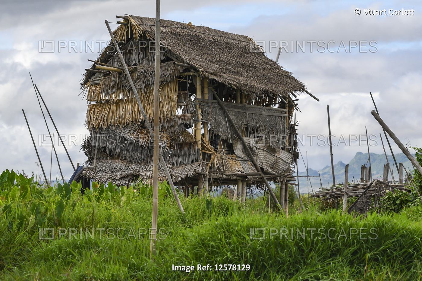 Thatch house on farmland; Yawngshwe, Shan State, Myanmar