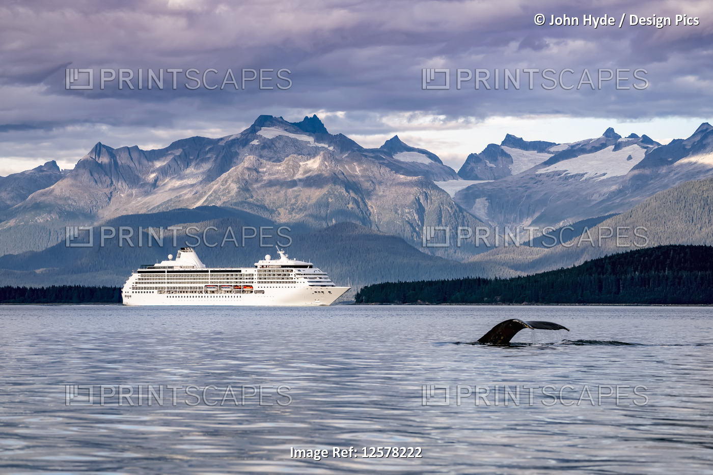 Humpback whale (Megaptera novaeangliae) fluke and a cruise ship along the ...
