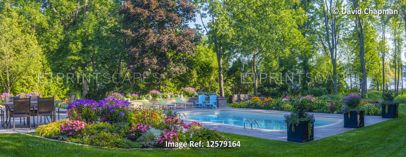 Residential swimming pool in a backyard with blossoming flowers and full trees; ...