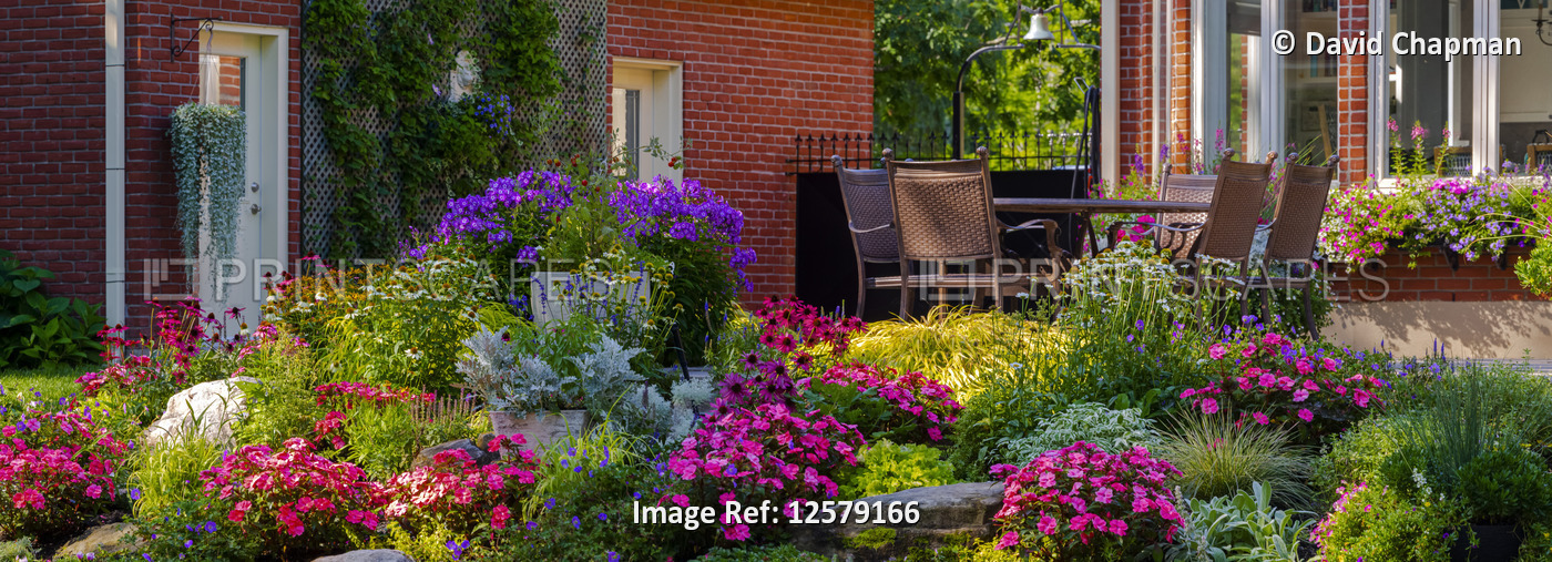 Blossoming flowers in a garden in a residential backyard with patio furniture; ...