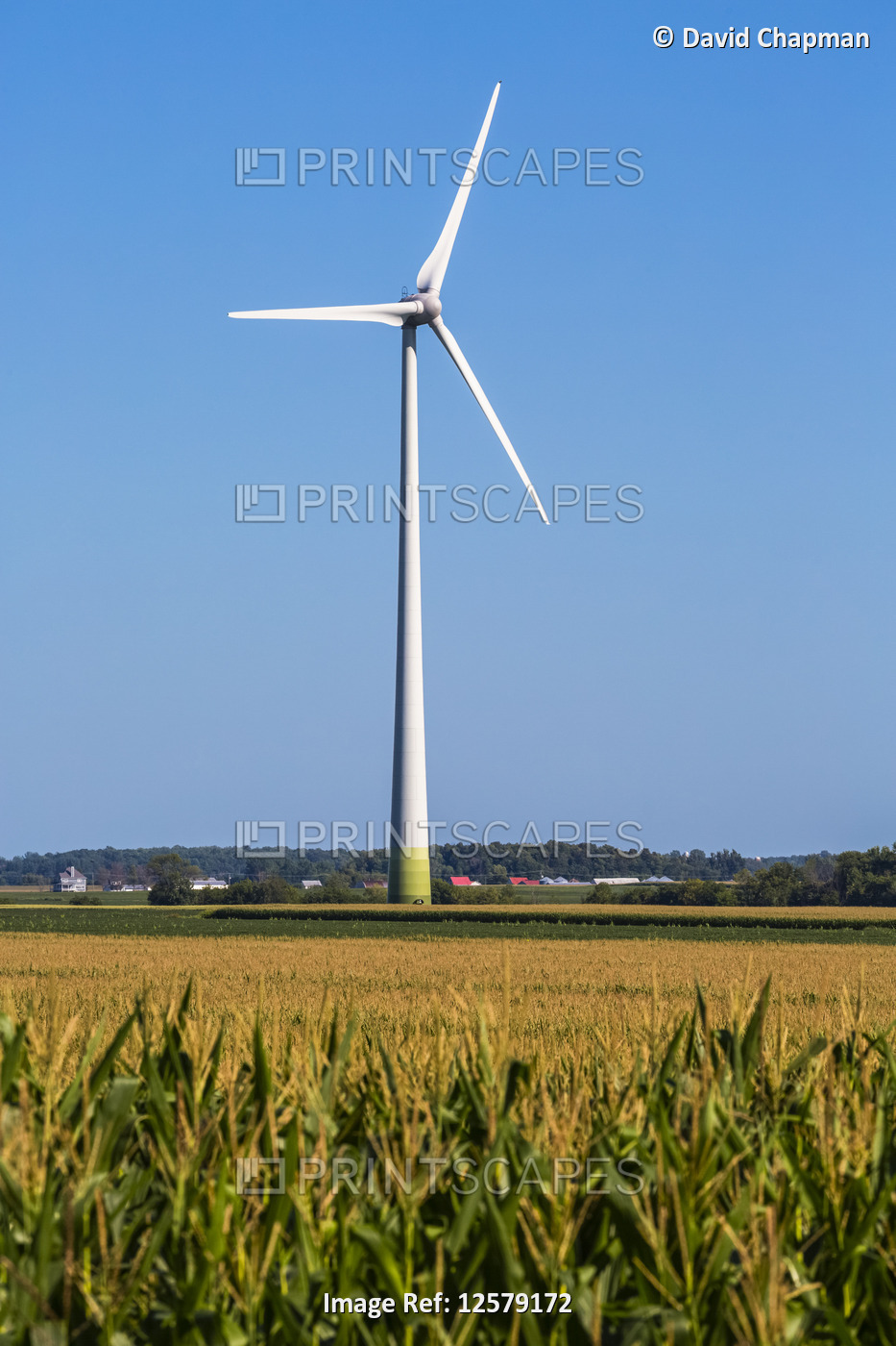 Wind turbines on farmland with a corn field in the foreground; Saint Remi, ...