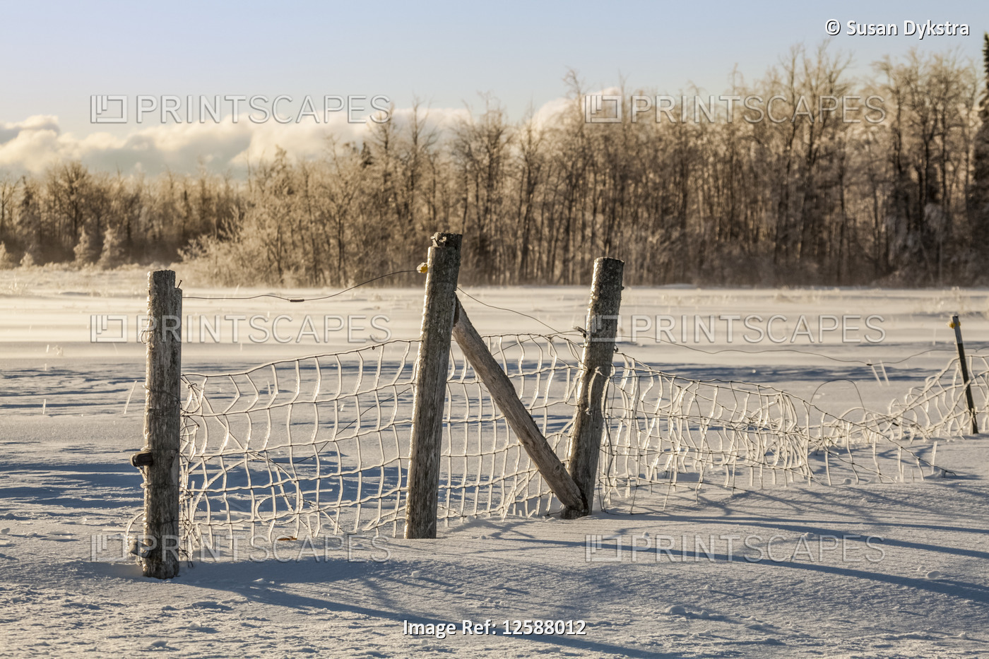 Icy fence in the countryside