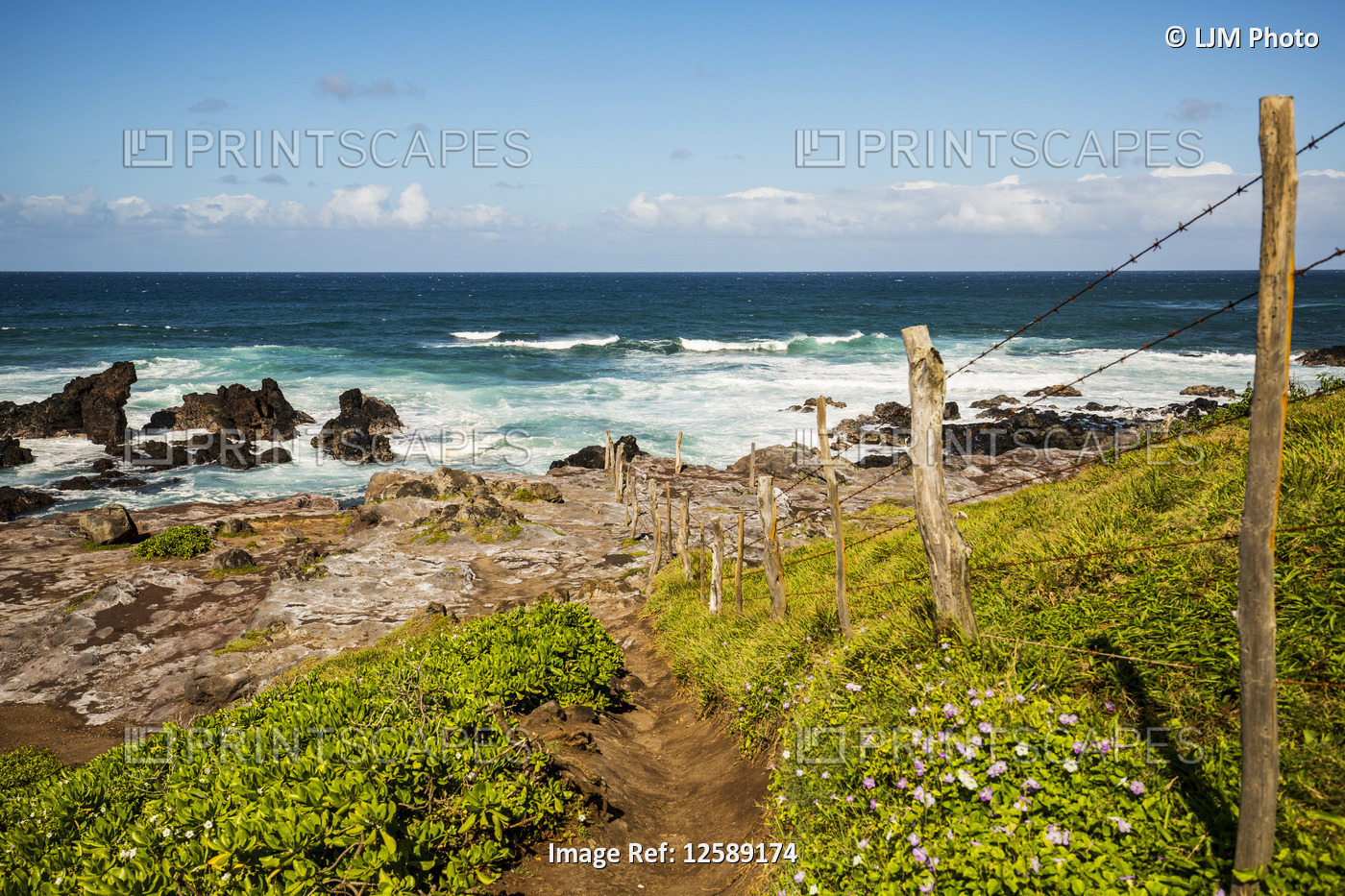 Ocean waves cresting and rollling into the rocky shoreline with a dirt path on ...