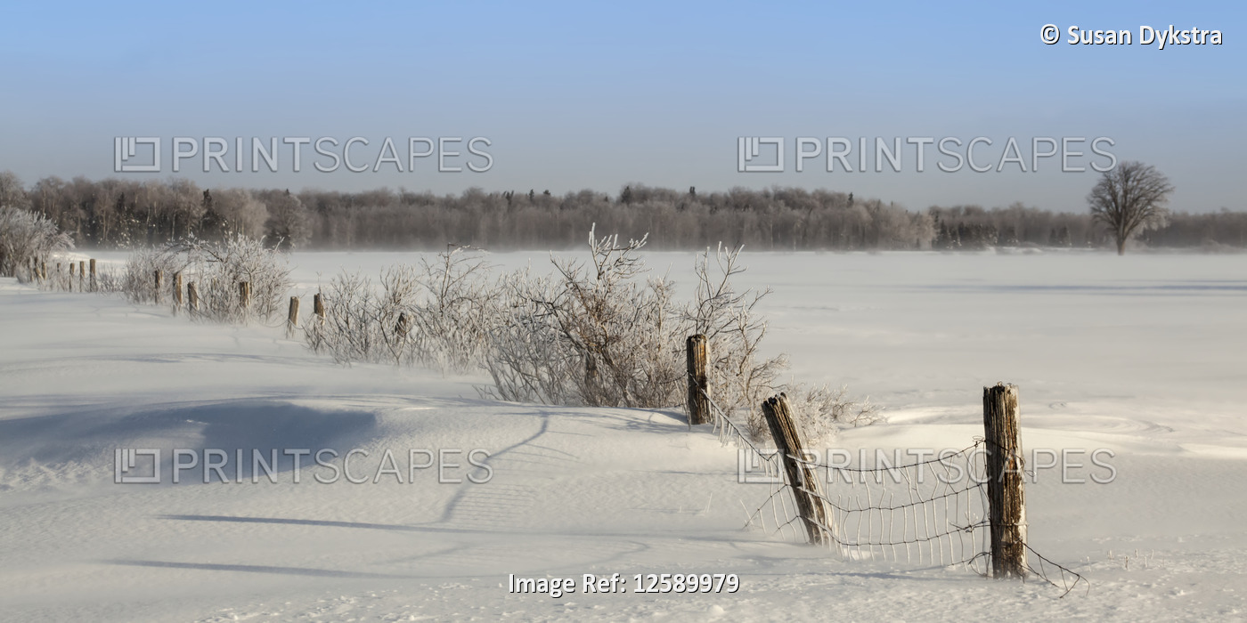 Winter landscape with fence