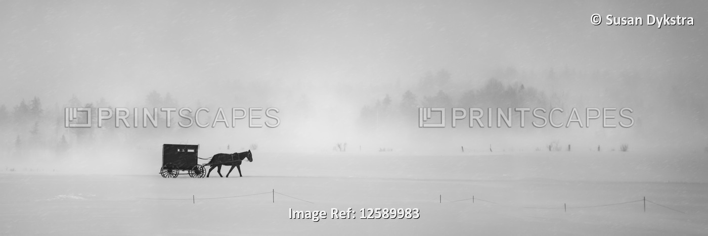 Horse and buggy in snowstorm