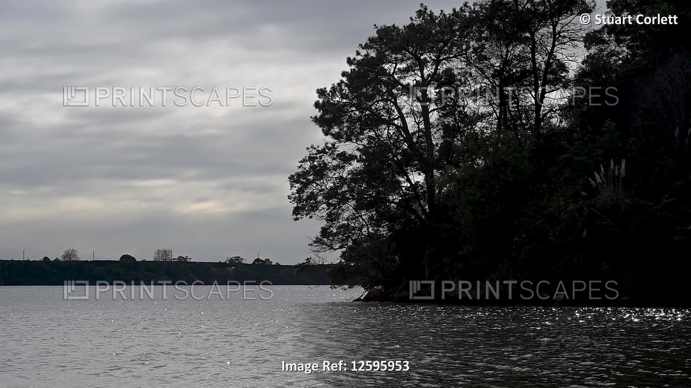 Silhouetted trees along the shoreline, near Welcome Bay; Tauranga, North ...