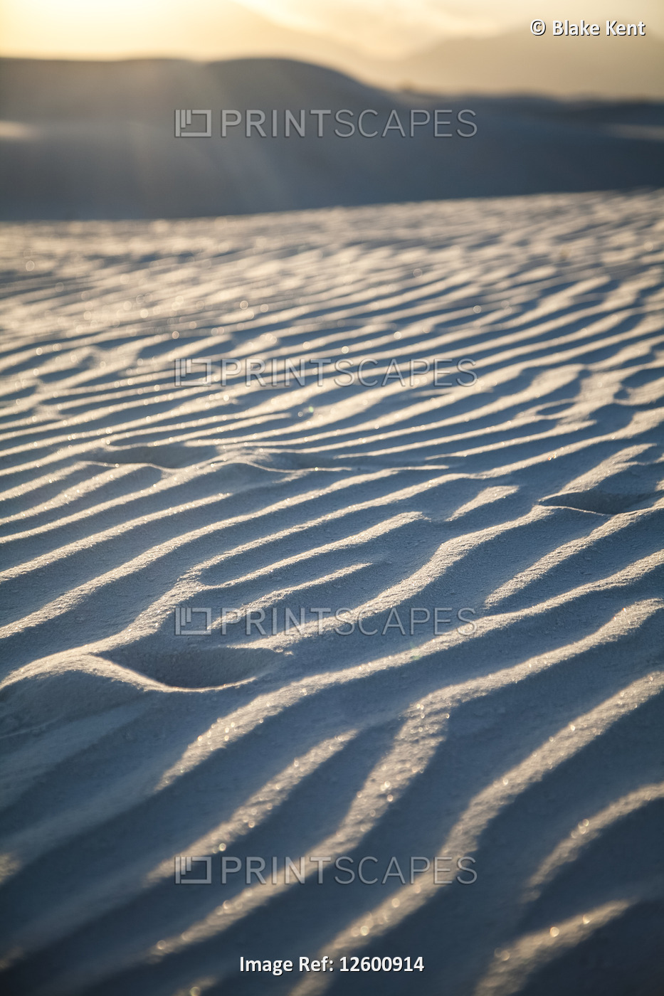 Dune detail at White Sands National Monument; Amalogordo, New Mexico, United ...