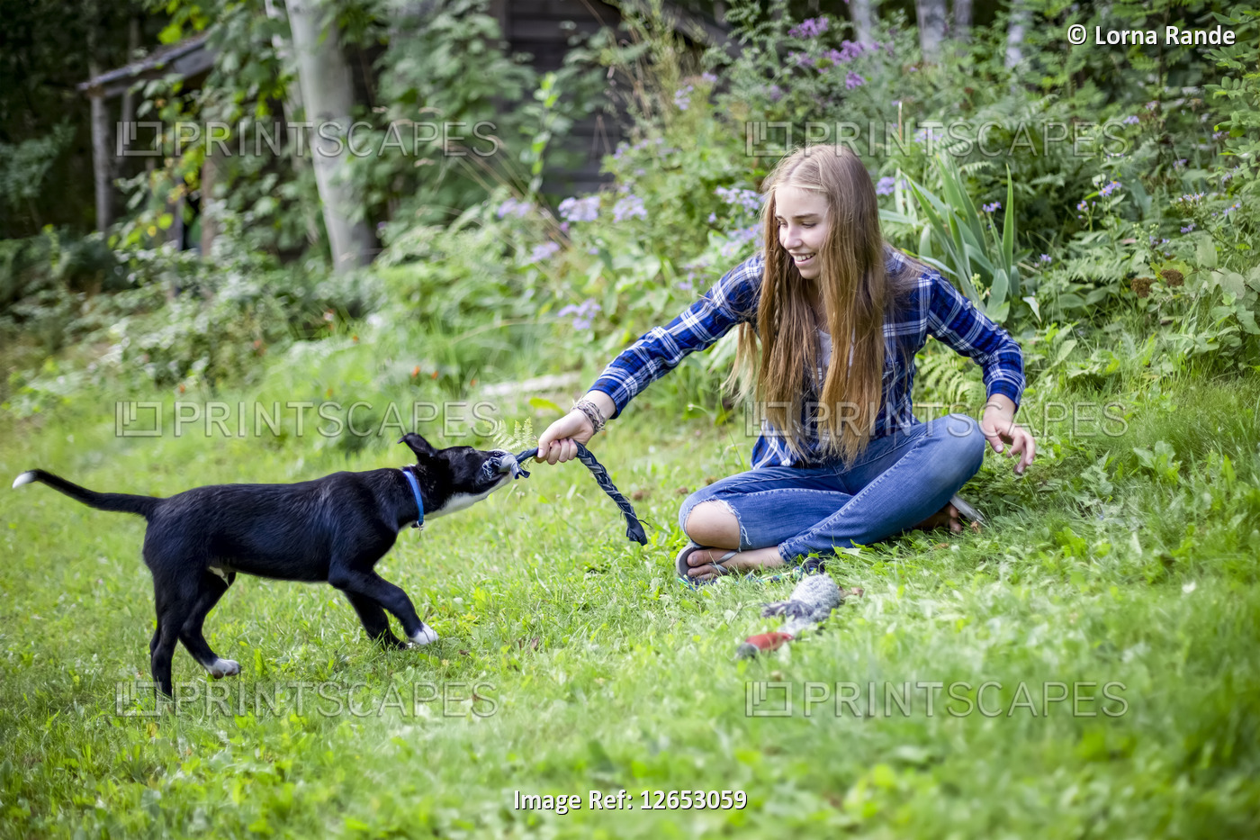 Girl playing with her dog; Salmon Arm, British Columbia, Canada