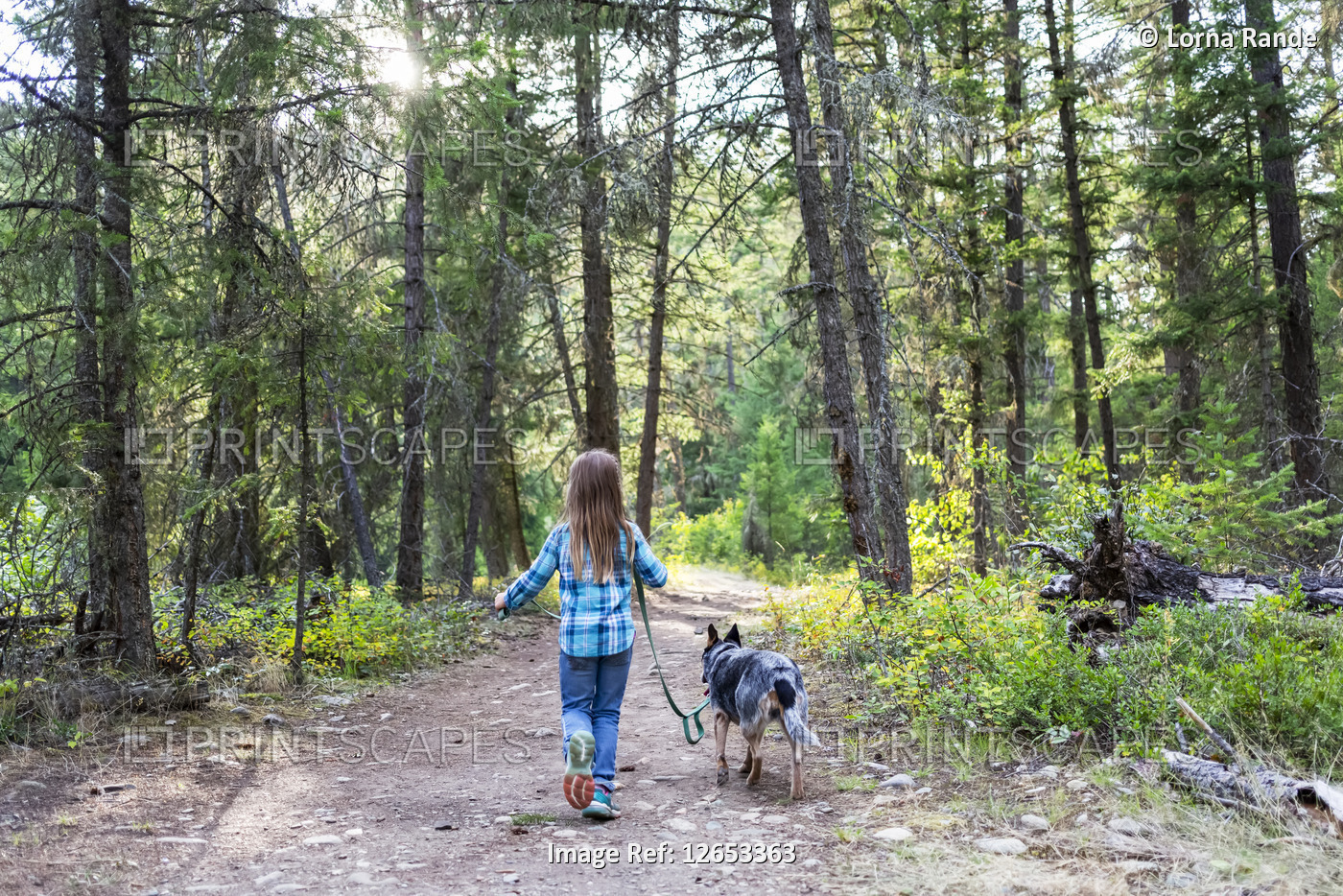 Young girl walking her dog down a trail in a forest; British Columbia, Canada