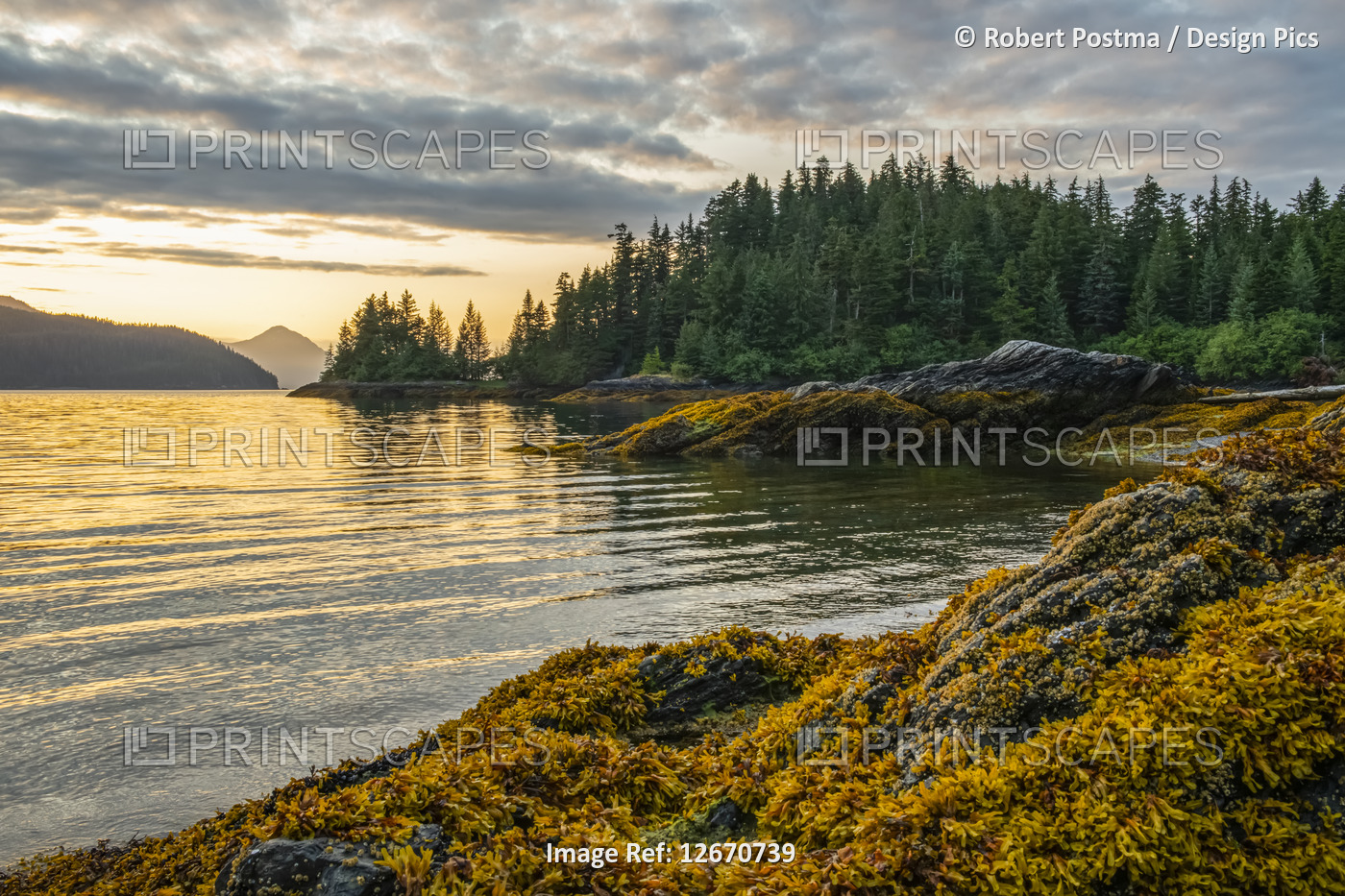 Beautiful landscape of Prince William Sound at sunset; Whittier, Alaska, United ...