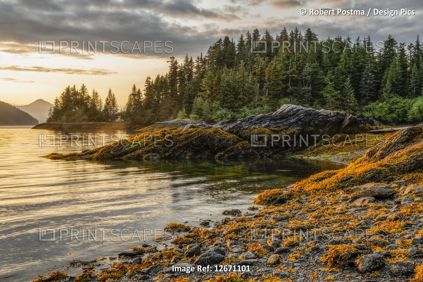 The beautiful scenery of Prince William Sound at sunset; Whittier, Alaska, ...