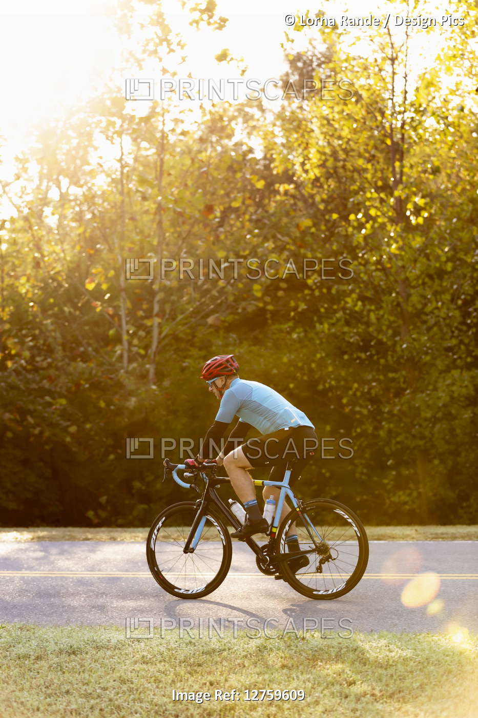 Cyclist riding on a road with bright sunlight filtering through the trees, near ...