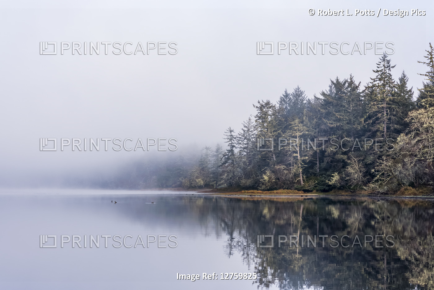 Fog begins to lift from a peaceful scene at Fort Stevens State Park on the ...
