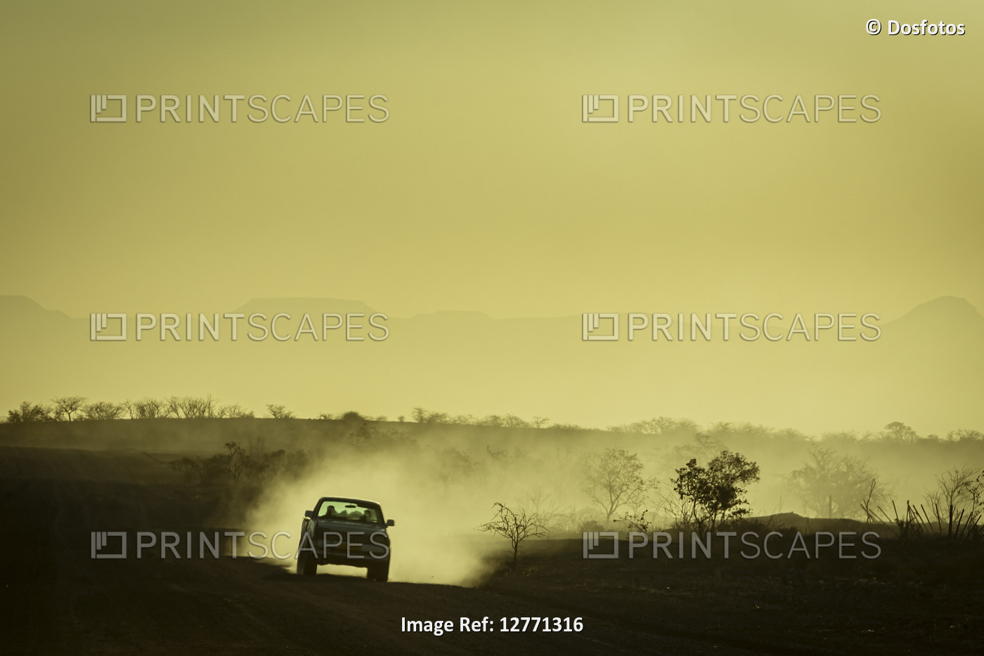 Driving at sunset, Damaraland; Kunene Region, Namibia