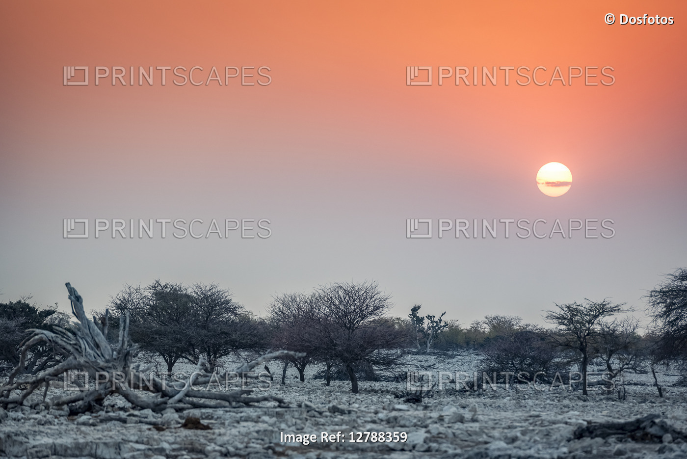 Sun setting at Etosha National Park; Namibia