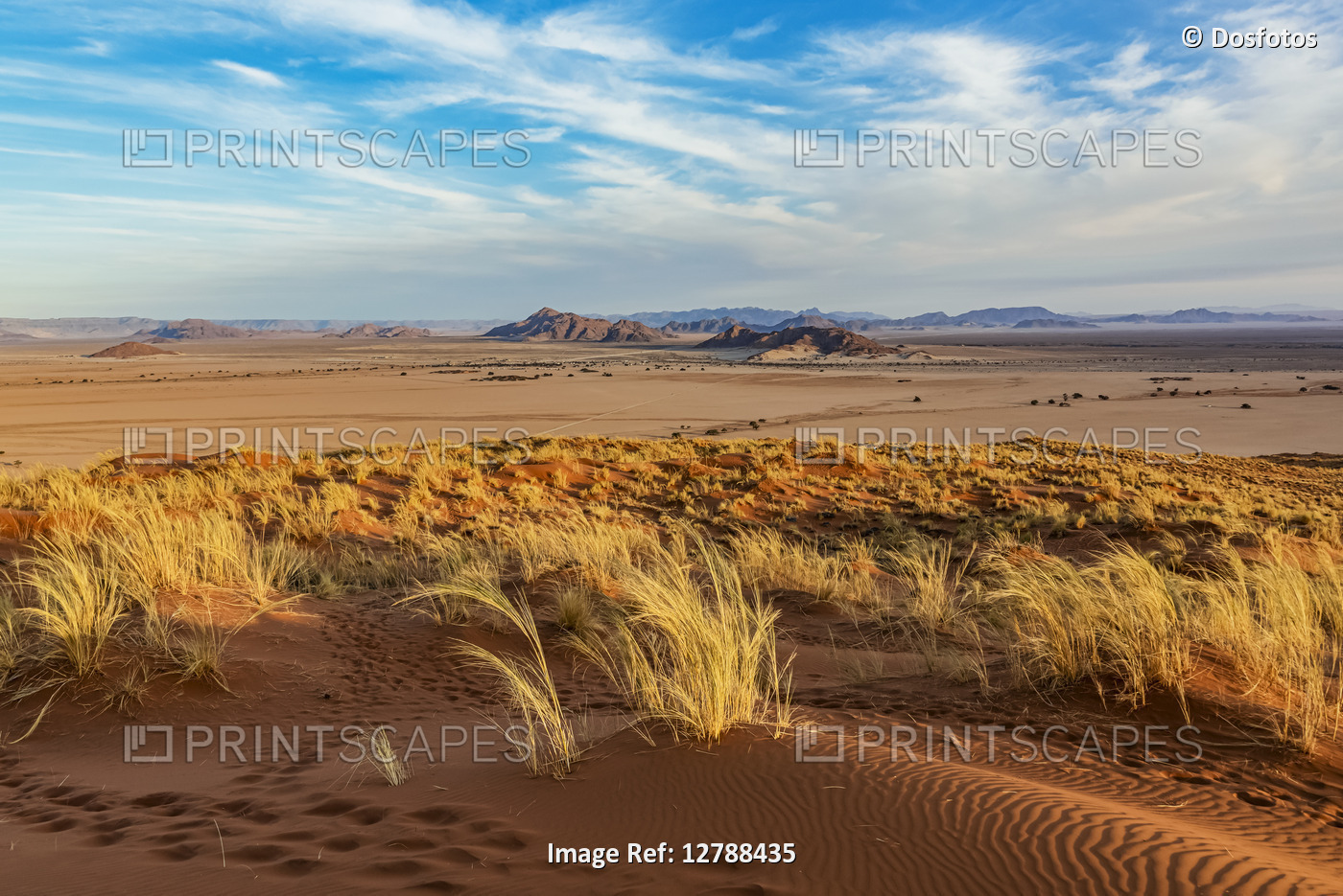 Elim dune, Sesriem, Namib-Naukluft National Park, Namib Desert; Namibia