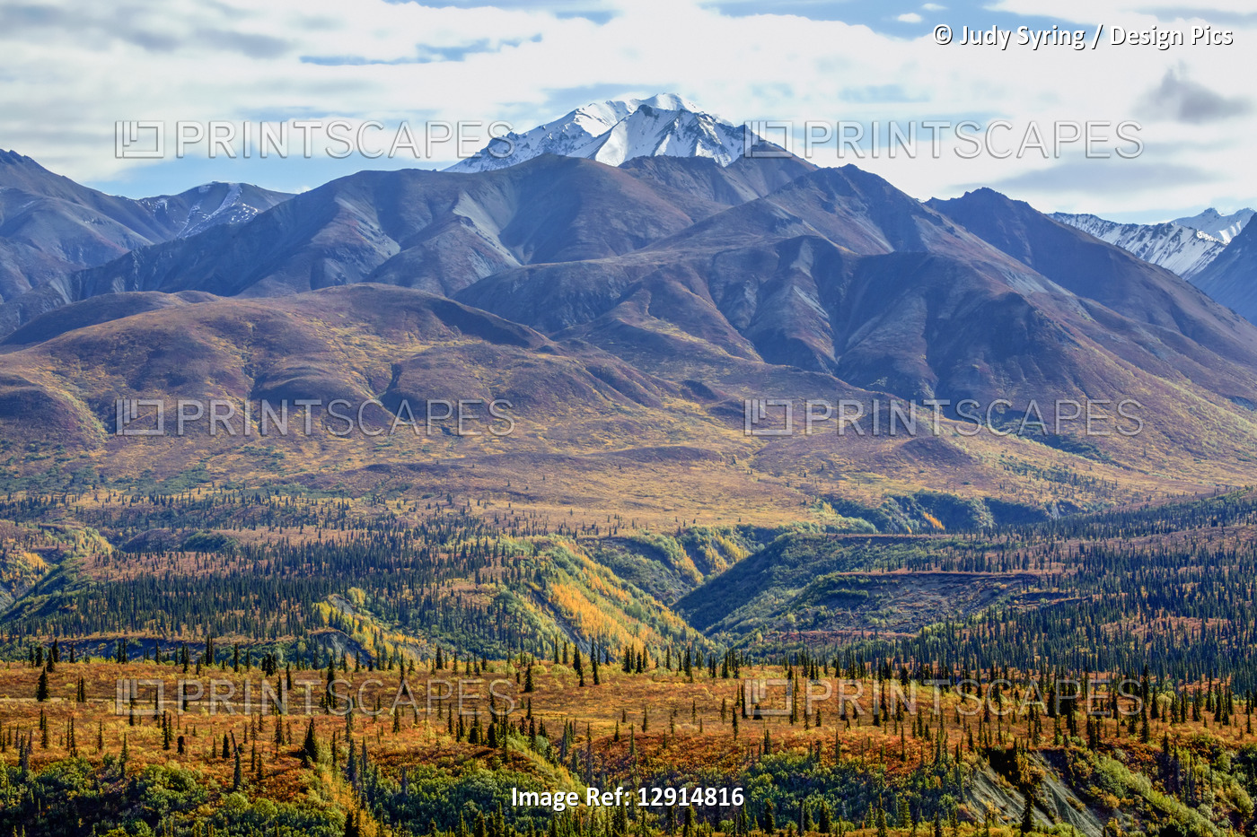 The Chugach valley in autumn colours with a snow-covered mountain top in the ...