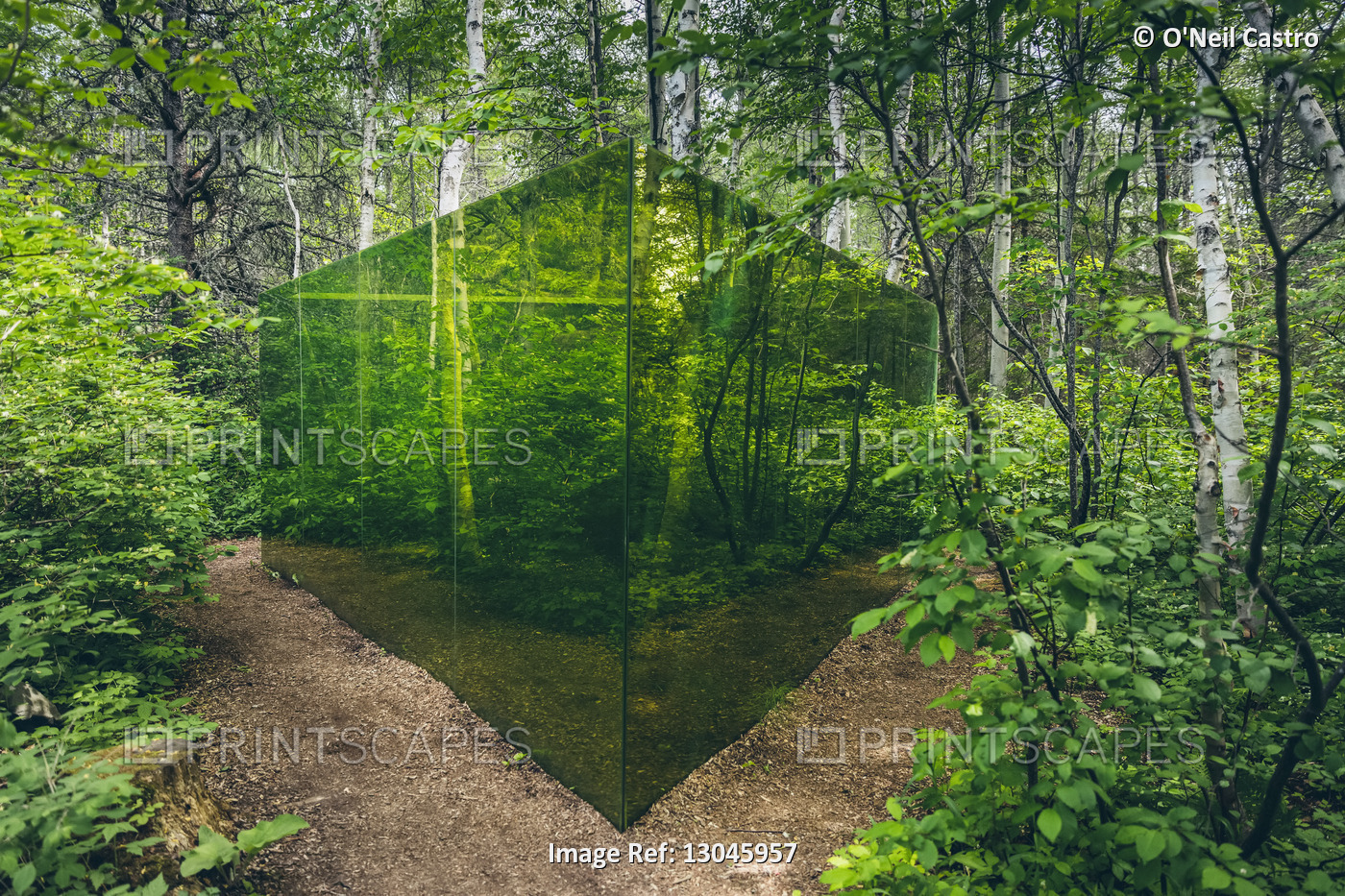 Art installation of green glass walls in a forest, Reford Gardens; Price, ...