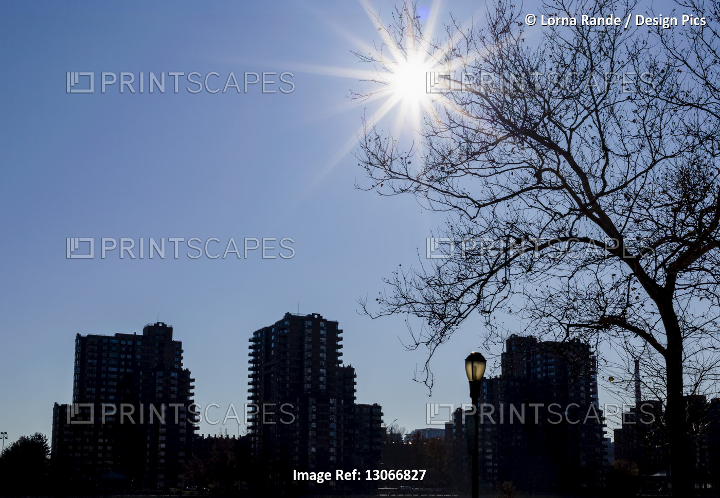 Silhouetted residential buildings and tree with sunburst in a blue sky; New ...