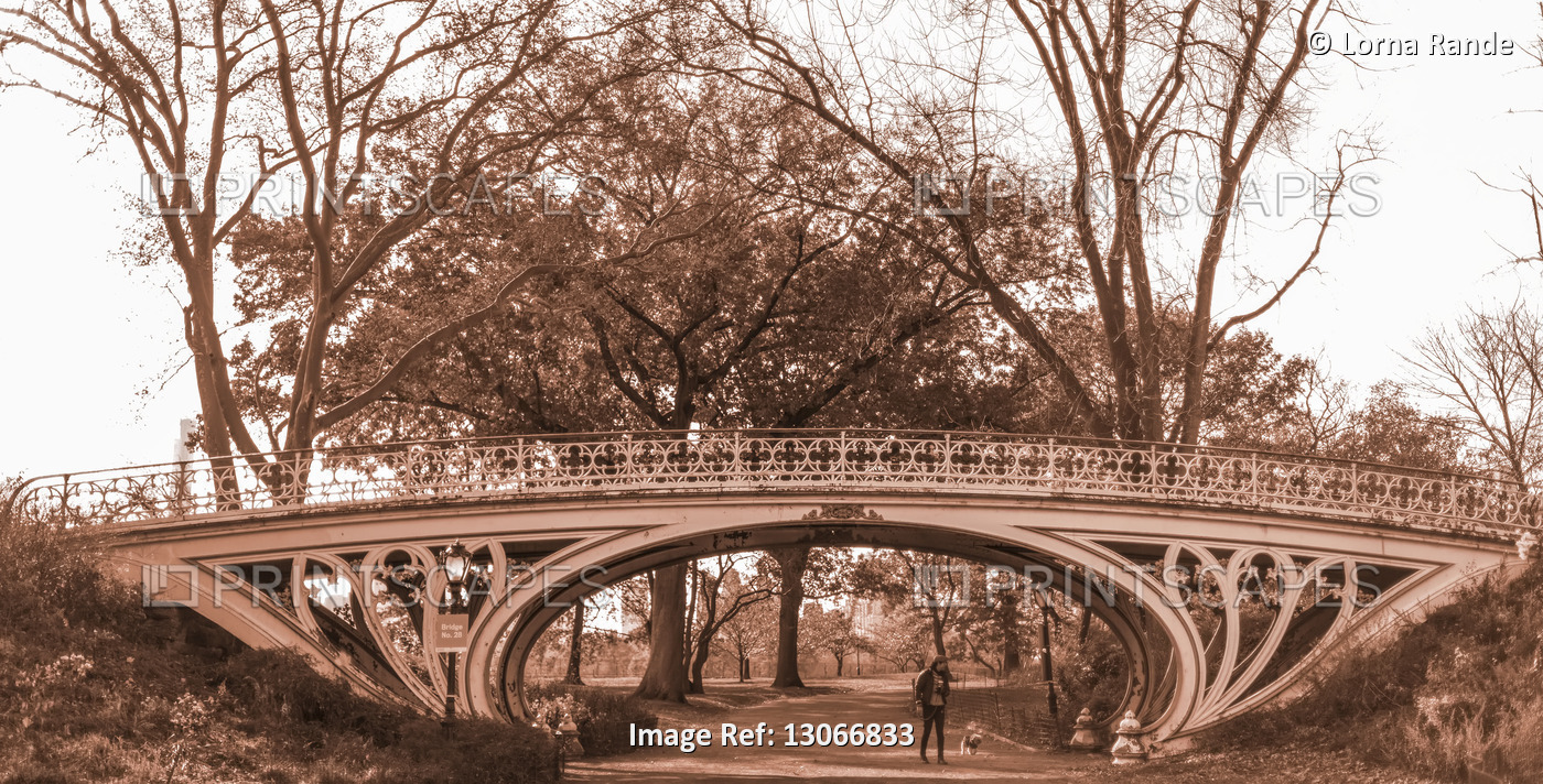 Decorative bridge in Central Park and a woman walking with her dog; New York ...