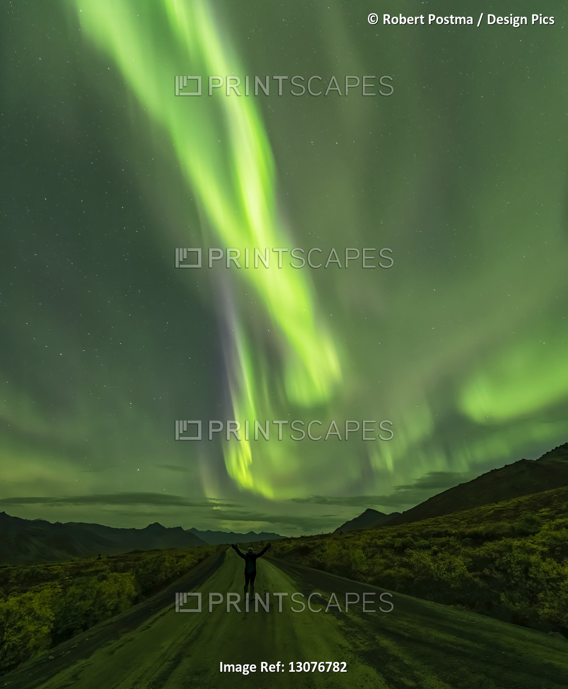 Woman standing on the Dempster Highway under the Northern Lights; Yukon, Canada