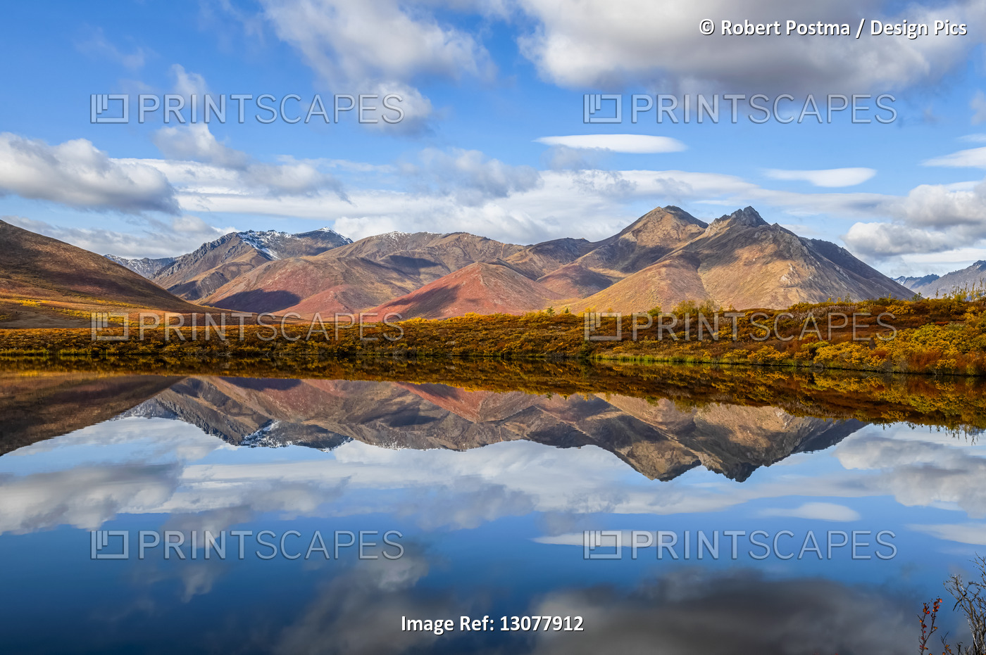 Fall colours ignite the landscape of the Dempster Highway with vibrant colours ...