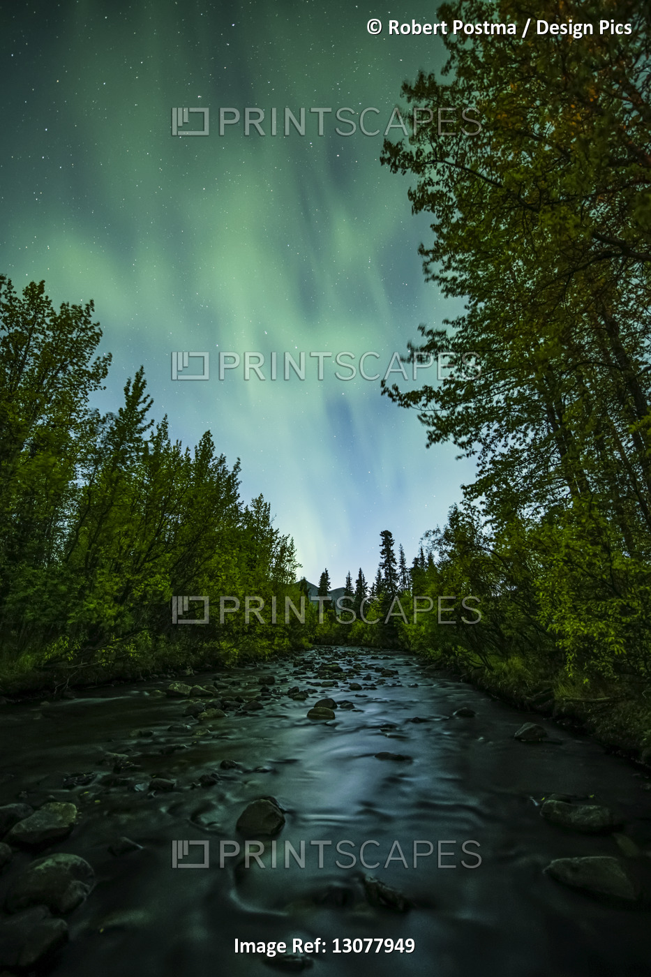 Aurora Borealis, or Northern Lights, light up the Yukon night skies along the ...