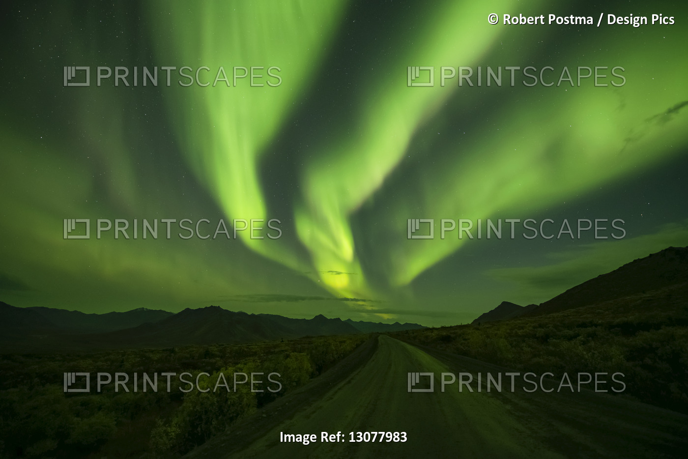 Aurora Borealis, or Northern Lights, light up the Yukon night skies along the ...
