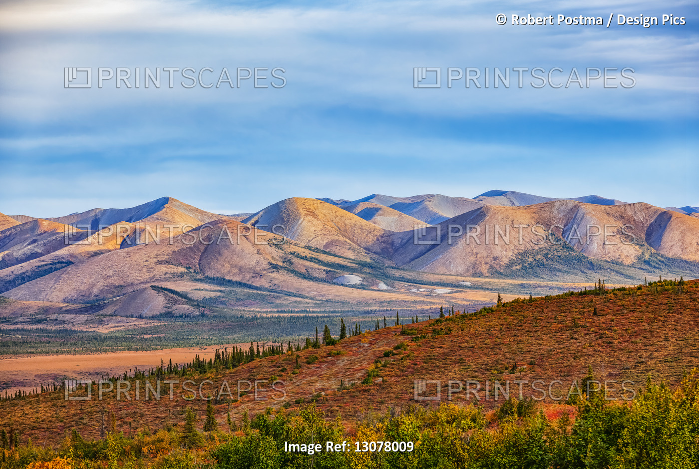 Vibrant fall colours ignite the landscape along the Dempster Highway; Yukon, ...