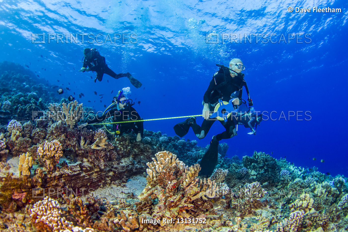 Research divers from the MOC Marine Institute map out coral damage at Molokini ...