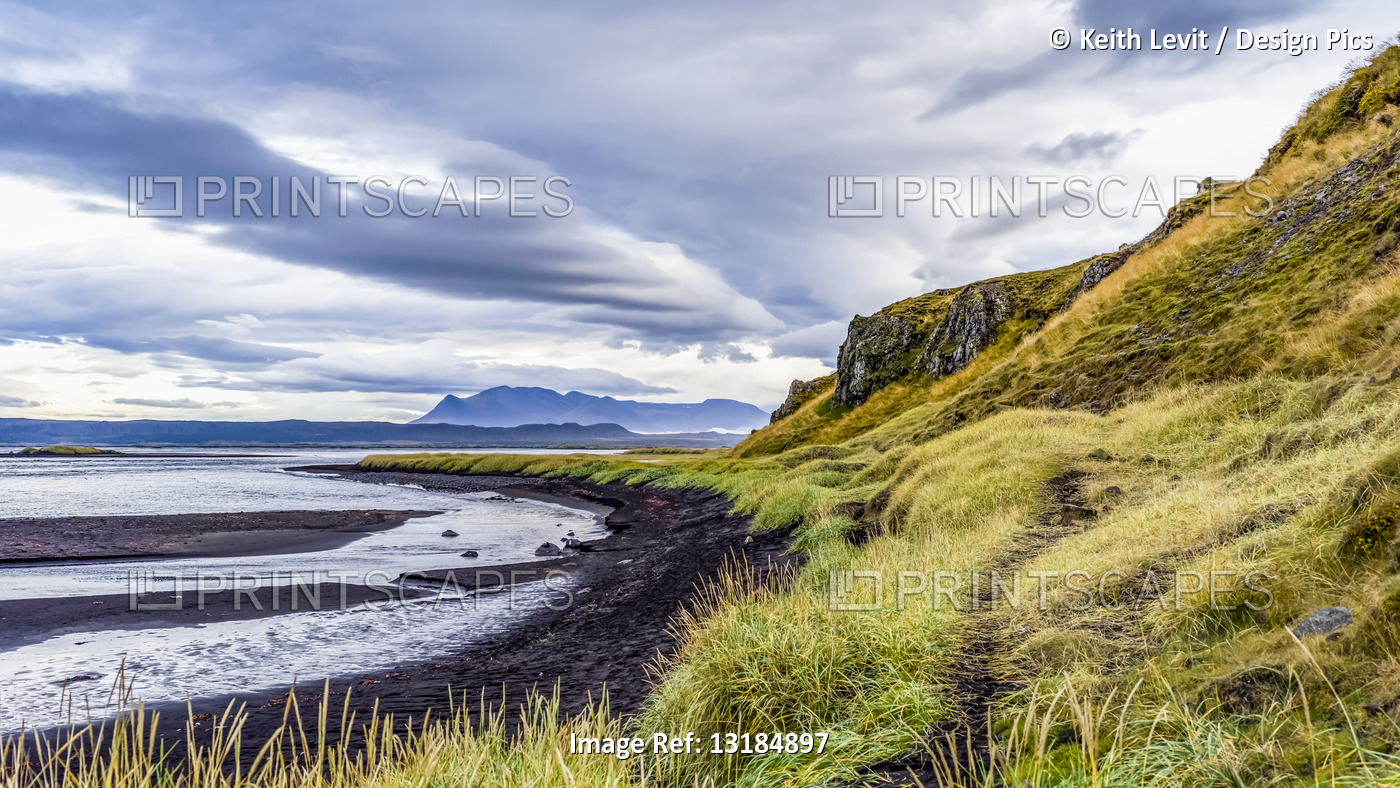 Typical landscape of Iceland with green tundra, black sand along the water's ...