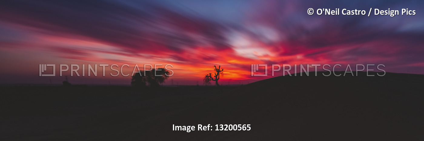 Desert sunset near Dubai; United Arab Emirates
