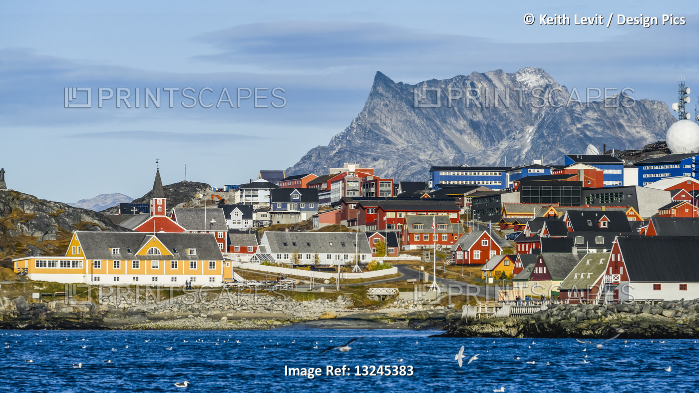 Colourful houses along the rocky shore of Nuuk; Nuuk, Sermersooq, Greenland