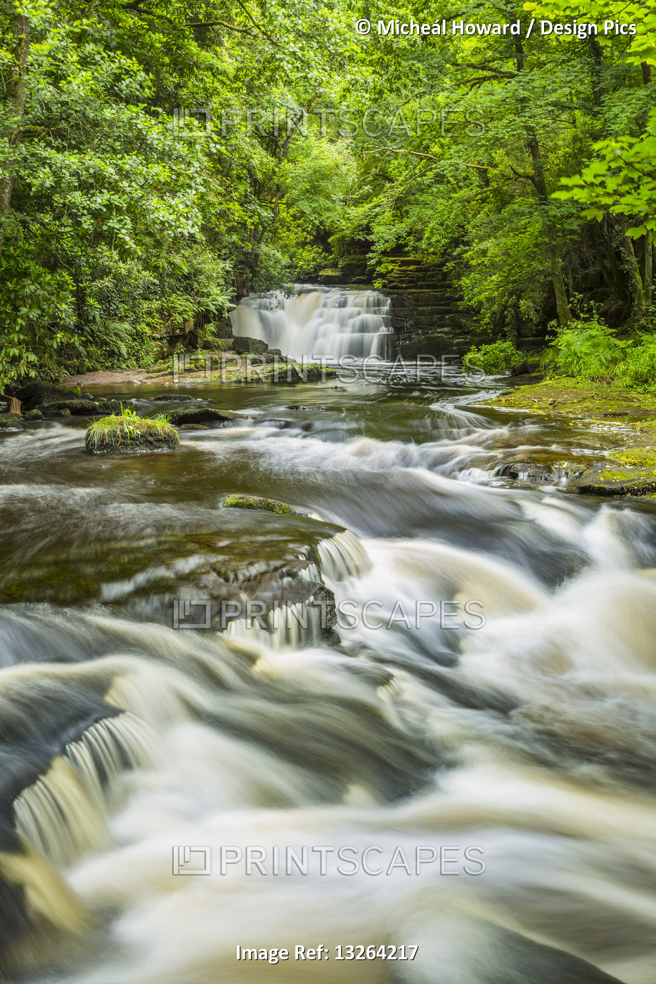 River in a forest with a waterfall in summer, long exposure; Clare Glens, ...