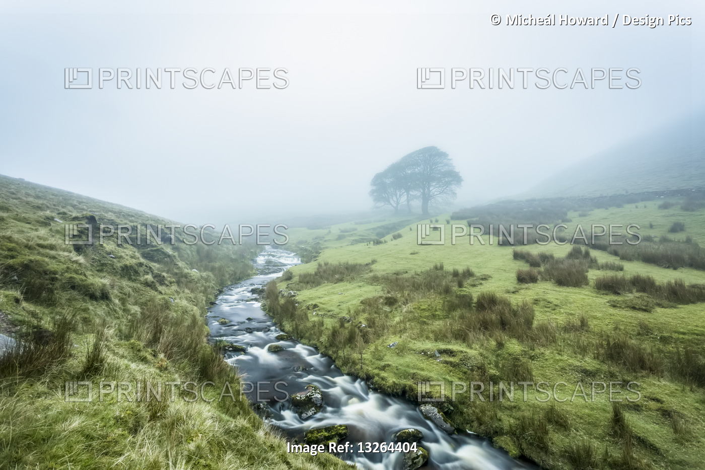 Small river cutting through a valley leading into the fog with three trees in ...