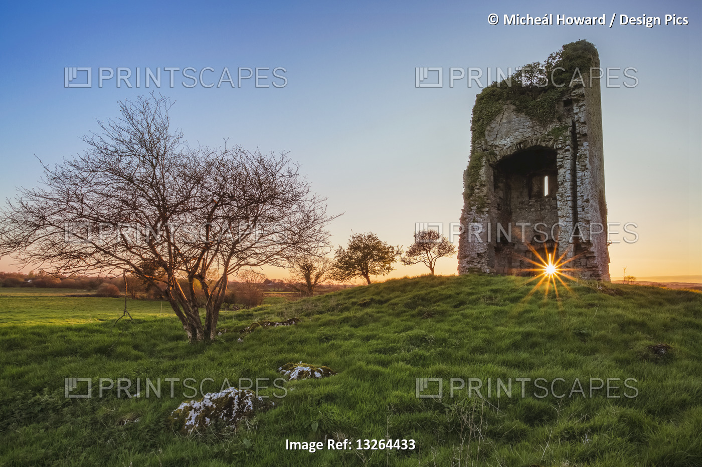 Old Irish castle ruins in a green field with the setting sun coming through the ...