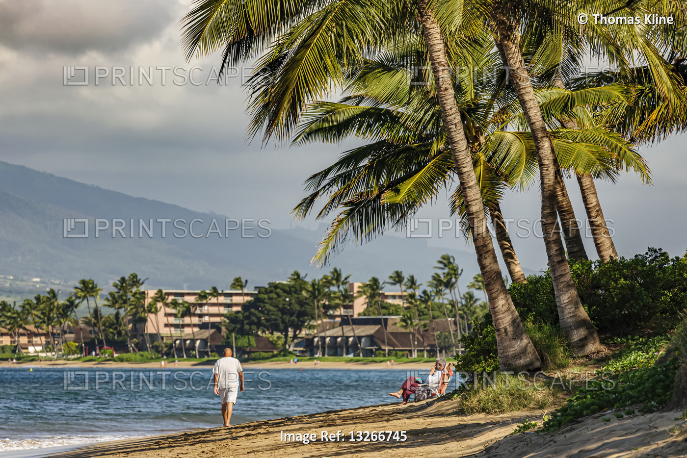Beachgoers on the beach near coconut palm trees (Cocos nucifera) of South Maui, ...