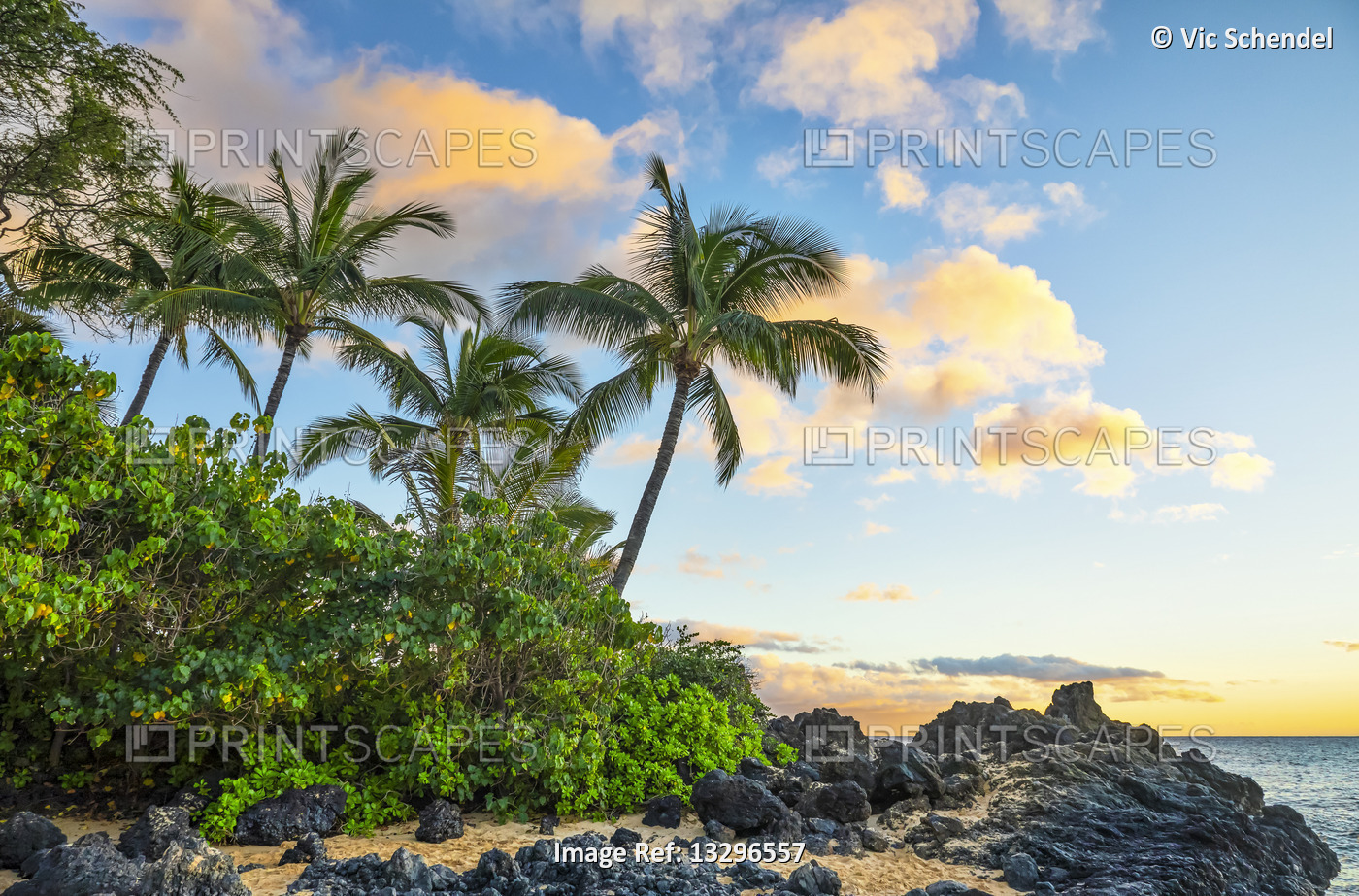Coastline of Maui, Hawaii, USA