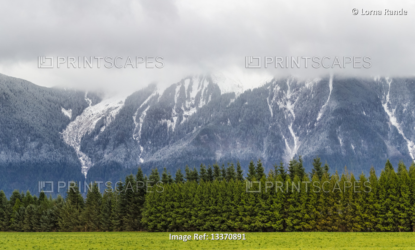 Canadian Rocky Mountains and lush, green forest with an overcast sky, Harrison ...