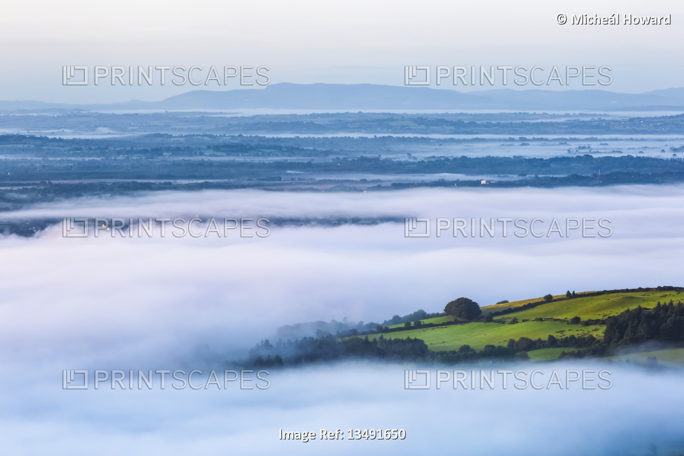 Green fields stand above the fog in the Shannon valley in the west of Ireland; ...