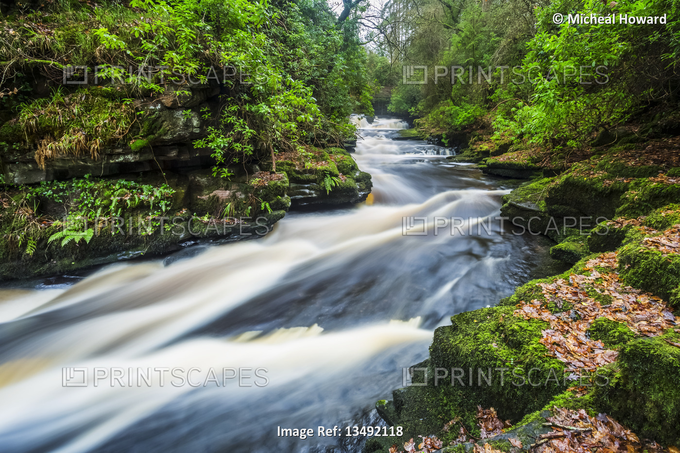 White water rapids on the Clare Glens river cutting through a small gorge in a ...
