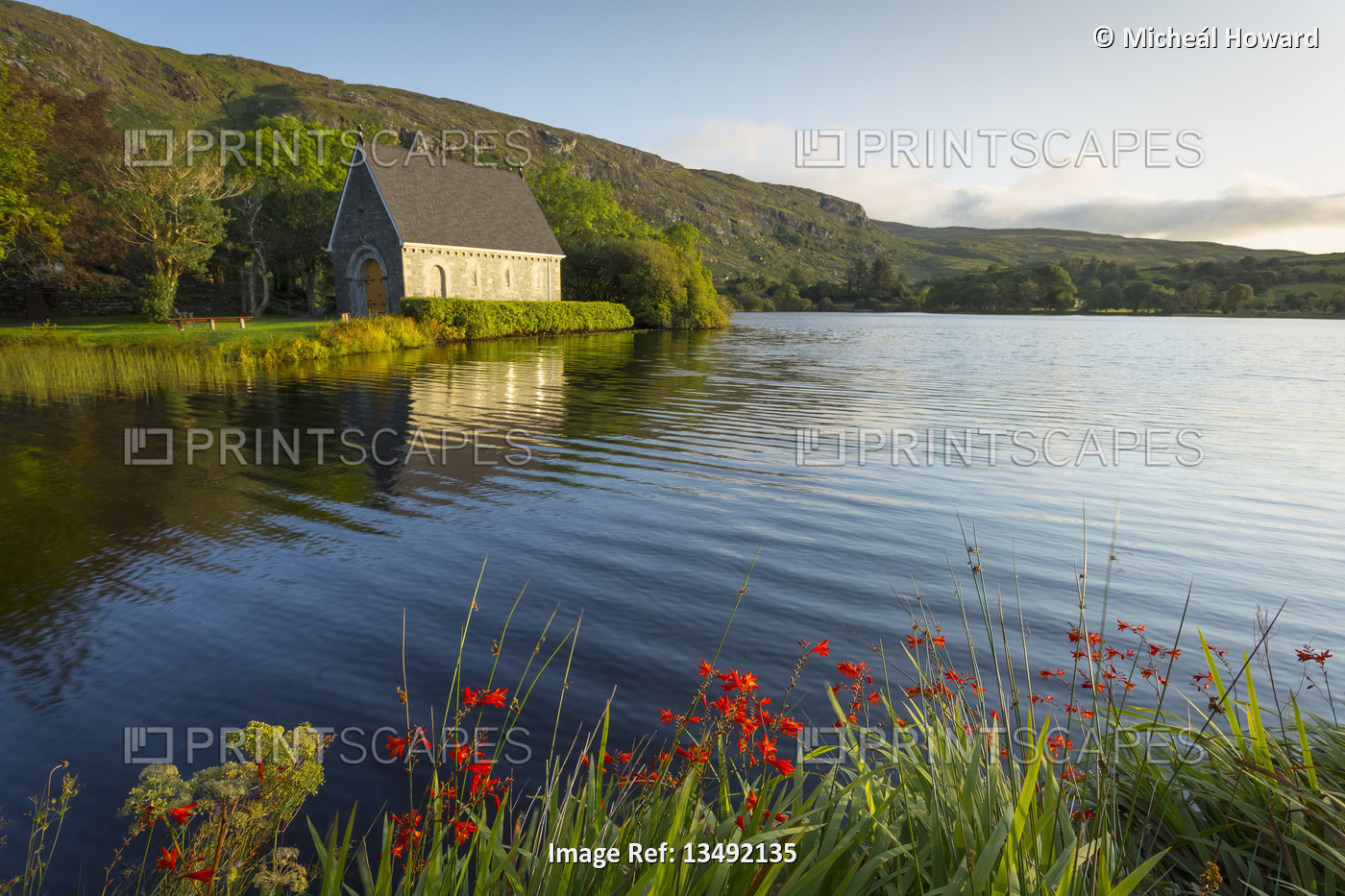 Red flowers and green trees by the old chapel of Gougane Barra on a beautiful ...