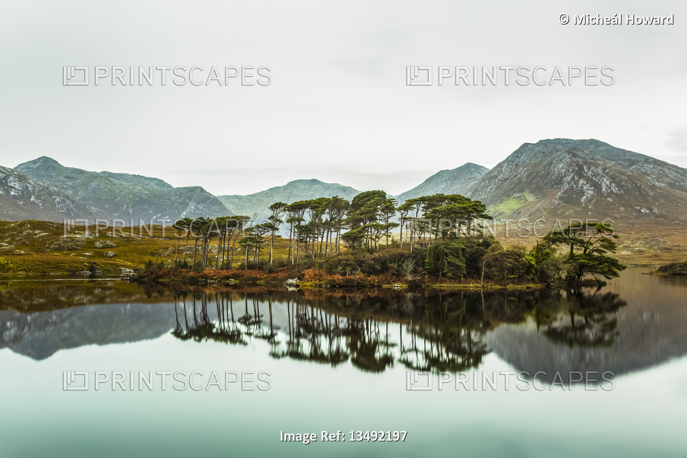 Pine Island on Derryclare lake with the Connemara mountains in the background ...