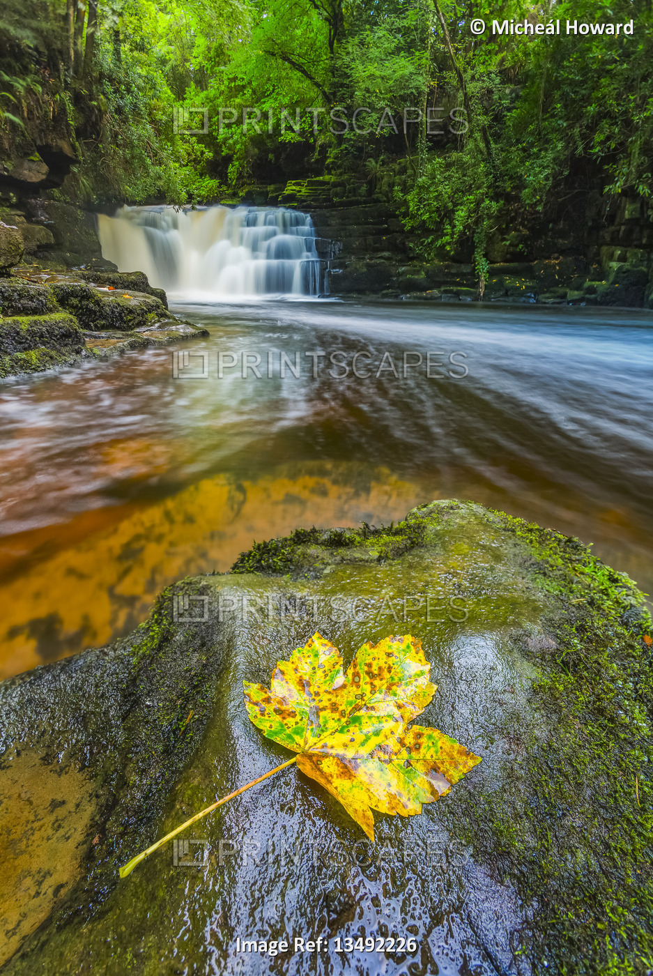 Waterfall on a river in the forest with a yellow leaf on a rock in the ...