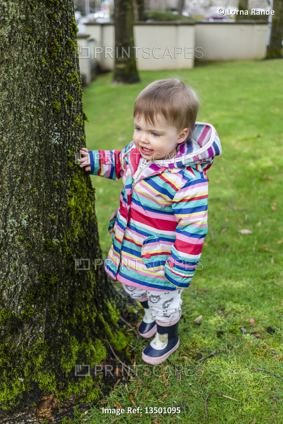 Toddler girl standing by a tree wearing a striped coat and rain boots; ...