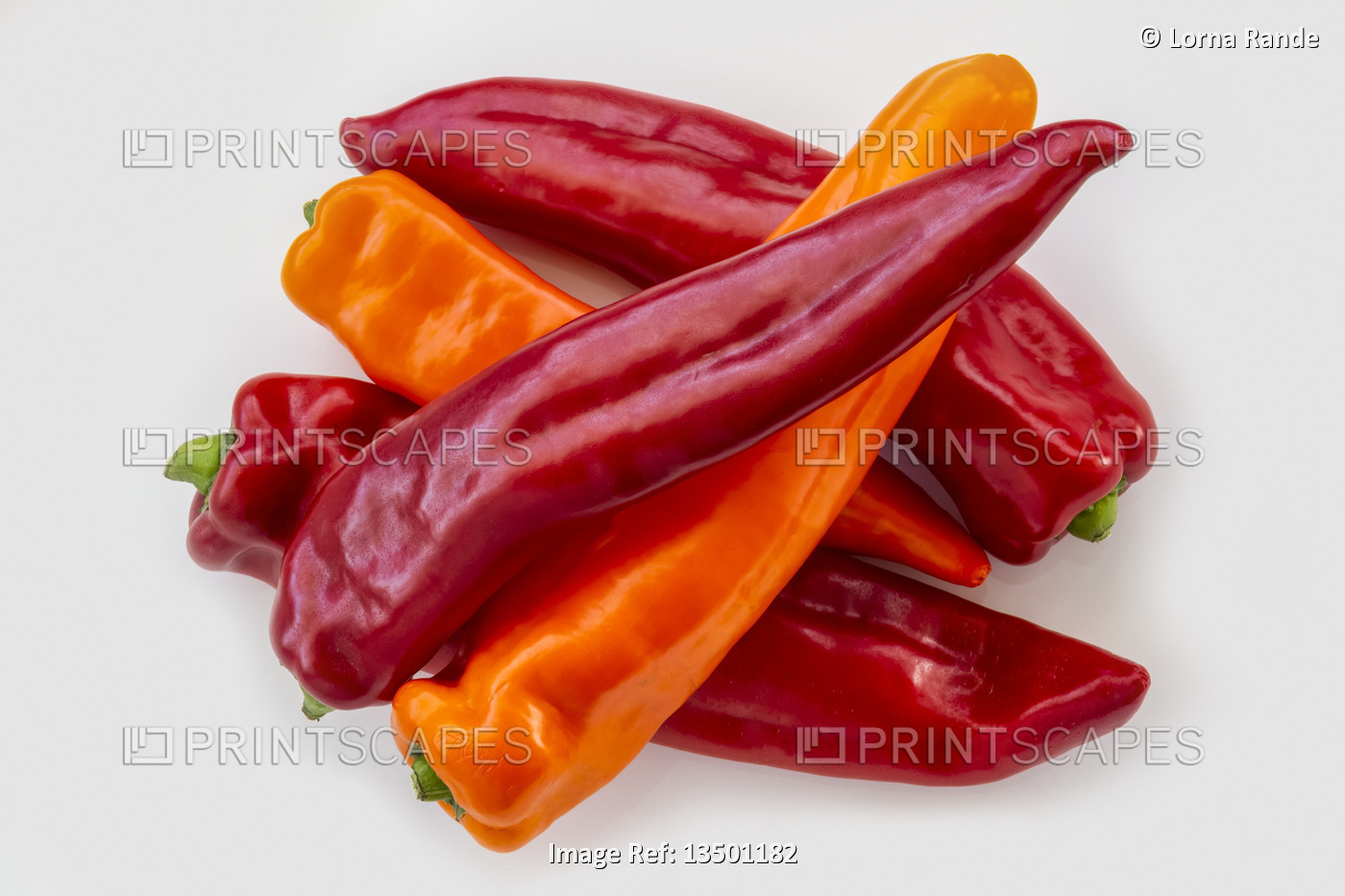 Fresh red and orange peppers on a white background; Studio