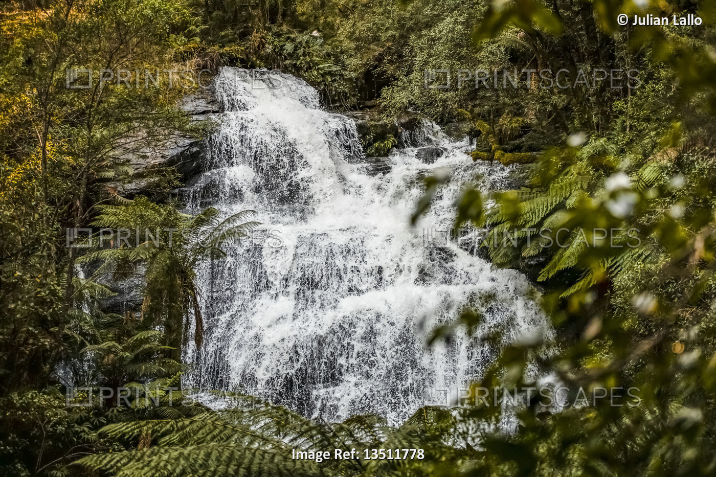 Hopetoun Falls; Beech Forest, Victoria, Australia
